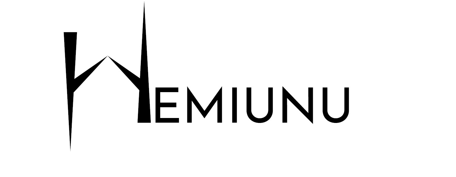 Hemiunu Constructions Solutions LLC